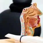 Dental sleep medicine